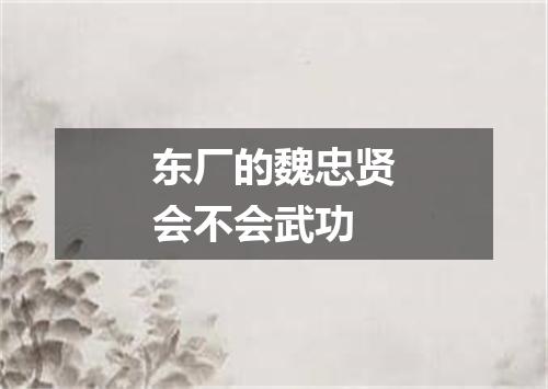 东厂的魏忠贤会不会武功