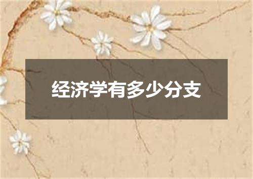 经济学有多少分支