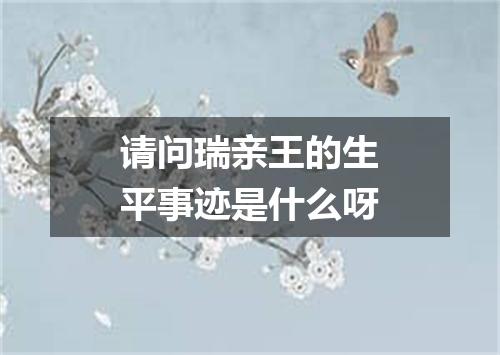 请问瑞亲王的生平事迹是什么呀