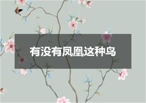 有没有凤凰这种鸟