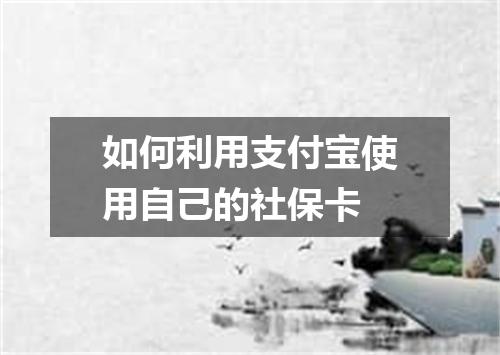如何利用支付宝使用自己的社保卡