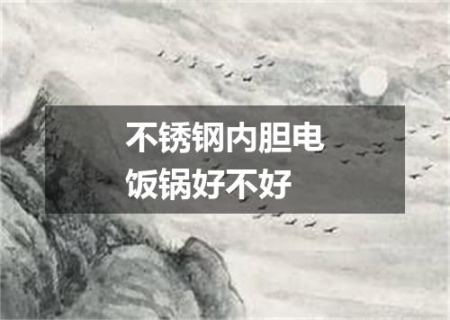 不锈钢内胆电饭锅好不好