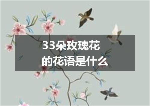 33朵玫瑰花的花语是什么