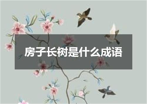 房子长树是什么成语
