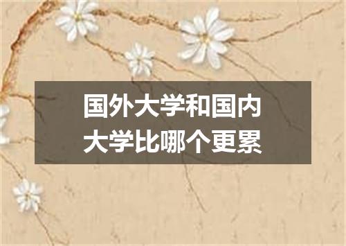 国外大学和国内大学比哪个更累