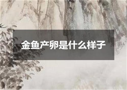 金鱼产卵是什么样子