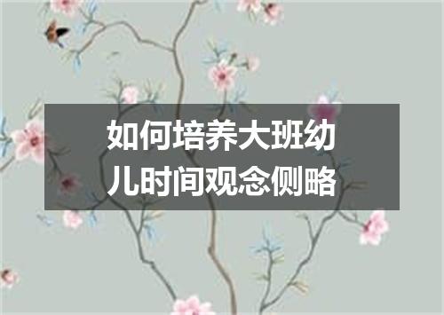 如何培养大班幼儿时间观念侧略