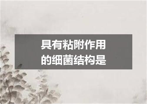 具有粘附作用的细菌结构是