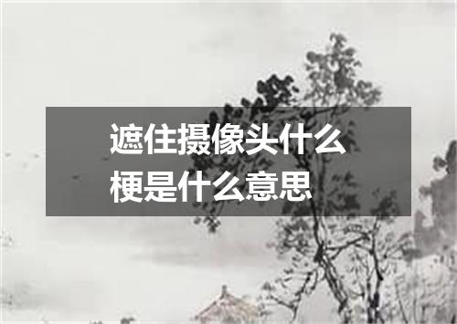 遮住摄像头什么梗是什么意思