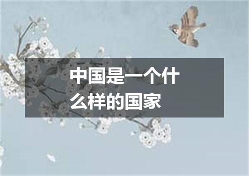 中国是一个什么样的国家