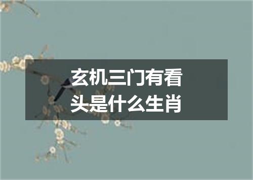 玄机三门有看头是什么生肖