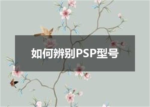 如何辨别PSP型号