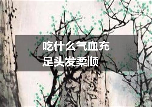 吃什么气血充足头发柔顺