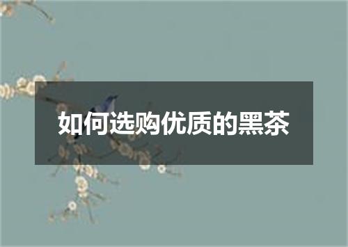 如何选购优质的黑茶