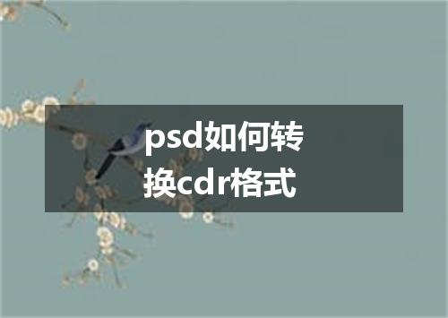 psd如何转换cdr格式