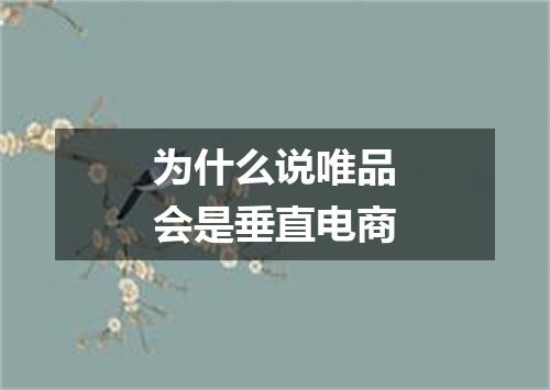 为什么说唯品会是垂直电商