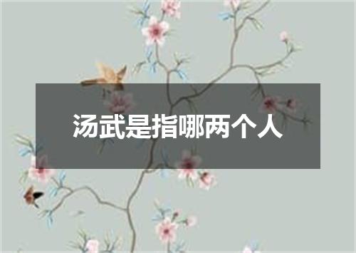 汤武是指哪两个人