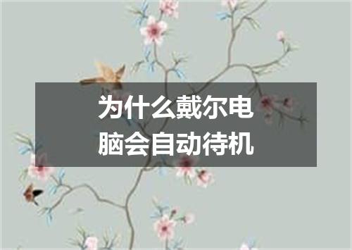 为什么戴尔电脑会自动待机