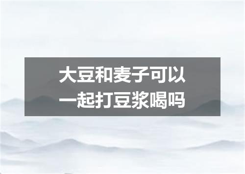 大豆和麦子可以一起打豆浆喝吗