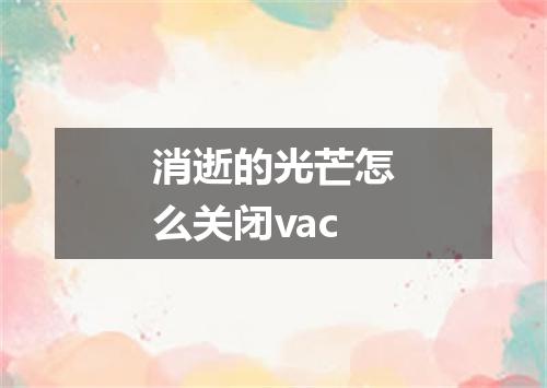 消逝的光芒怎么关闭vac