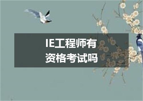IE工程师有资格考试吗