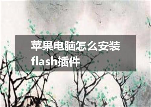 苹果电脑怎么安装flash插件
