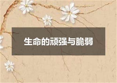 生命的顽强与脆弱