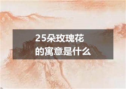 25朵玫瑰花的寓意是什么