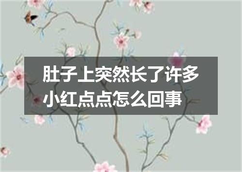 肚子上突然长了许多小红点点怎么回事