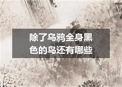除了乌鸦全身黑色的鸟还有哪些