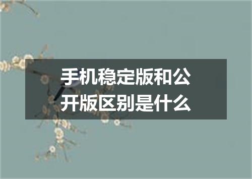 手机稳定版和公开版区别是什么