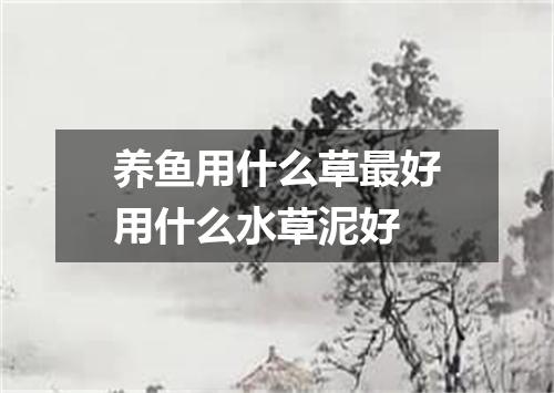 养鱼用什么草最好用什么水草泥好