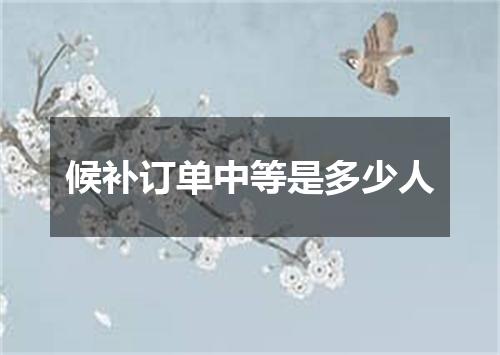 候补订单中等是多少人