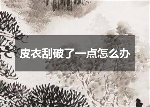 皮衣刮破了一点怎么办