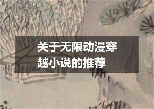 关于无限动漫穿越小说的推荐