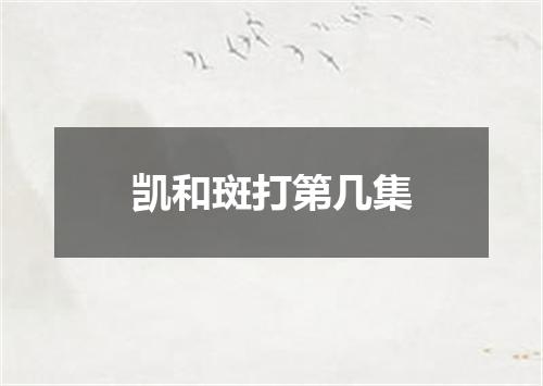 凯和斑打第几集