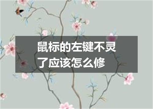 鼠标的左键不灵了应该怎么修