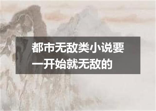 都市无敌类小说要一开始就无敌的