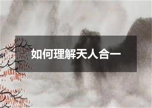 如何理解天人合一