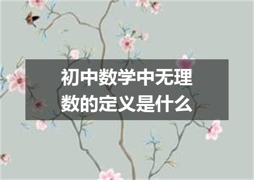 初中数学中无理数的定义是什么