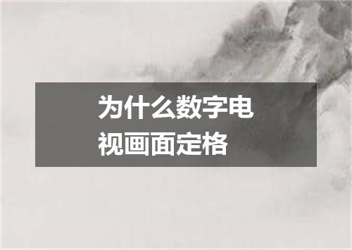 为什么数字电视画面定格