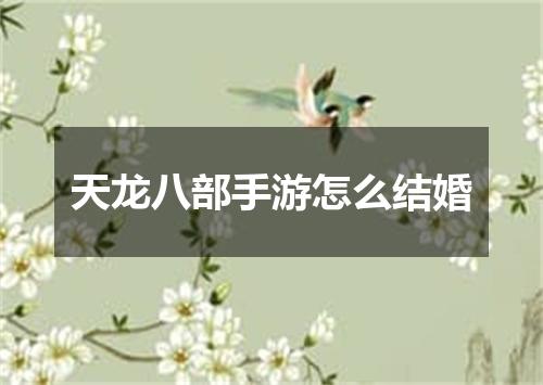 天龙八部手游怎么结婚