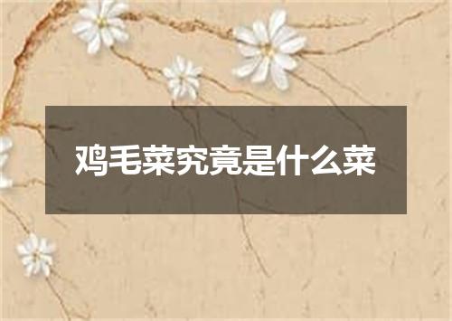 鸡毛菜究竟是什么菜