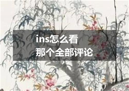 ins怎么看那个全部评论