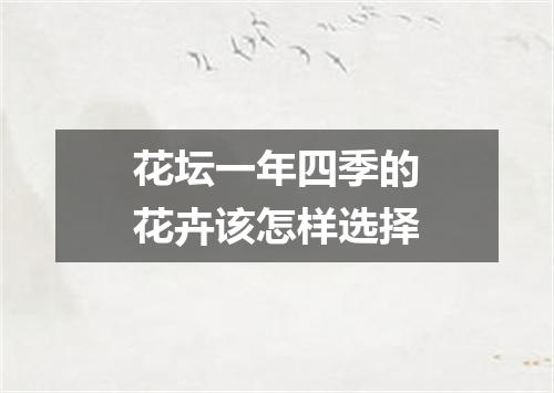 花坛一年四季的花卉该怎样选择