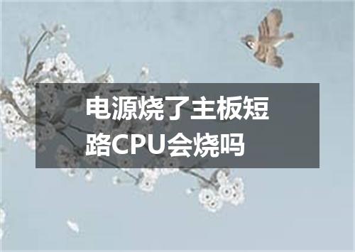 电源烧了主板短路CPU会烧吗