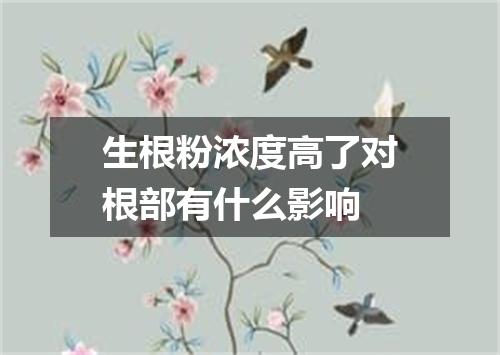 生根粉浓度高了对根部有什么影响