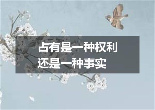 占有是一种权利还是一种事实