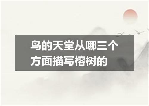 鸟的天堂从哪三个方面描写榕树的