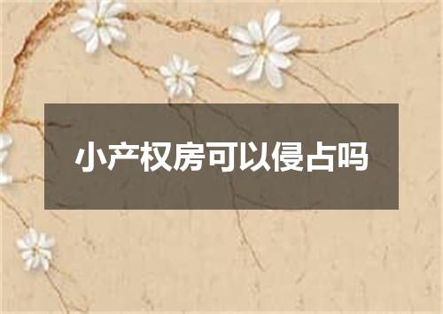 小产权房可以侵占吗